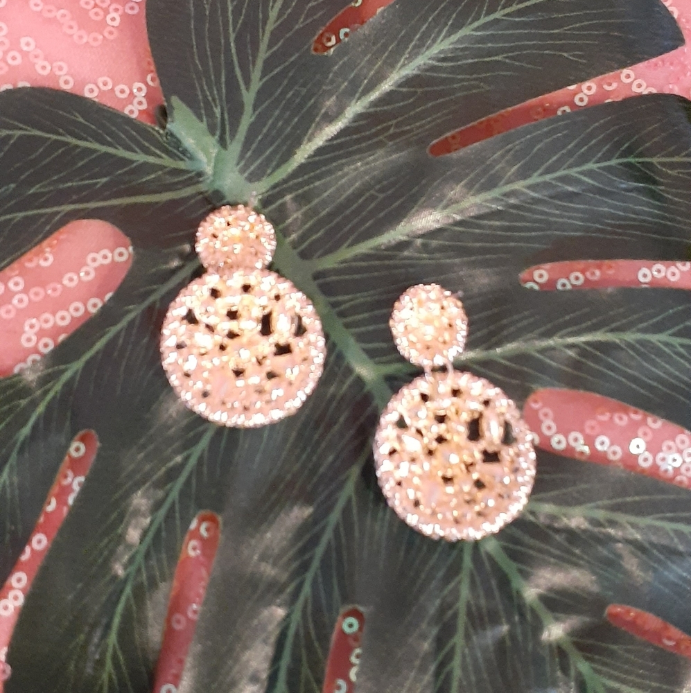 Shimmer and Shine Bling Earrings - Picture 2 of 3